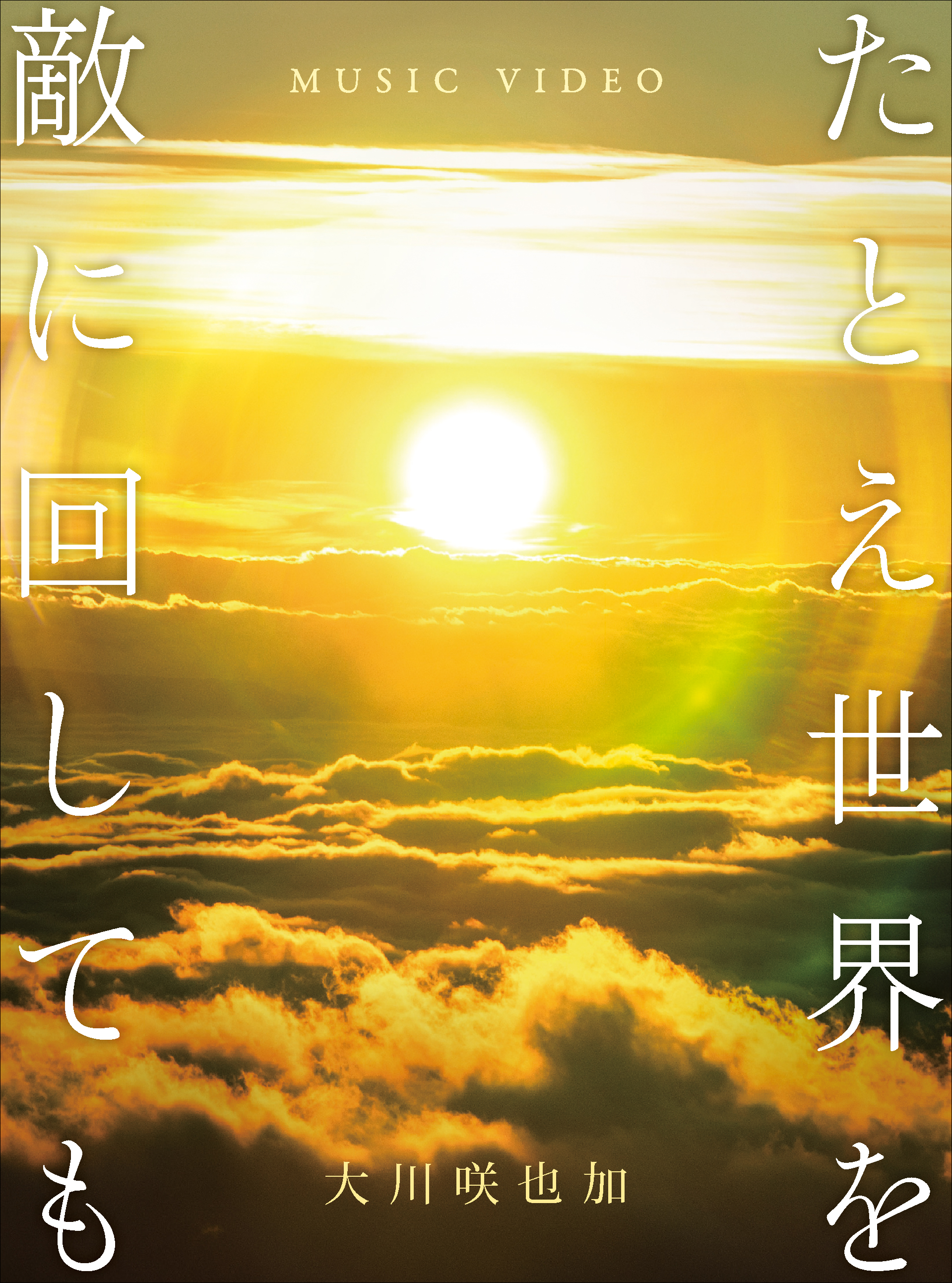 「たとえ世界を敵に回しても」DVDジャケット写真